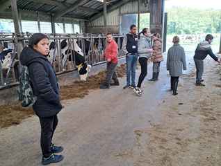 Les 2: Werken op een boerderij